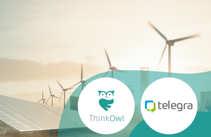 Energie & Stadtwerke: Webinar